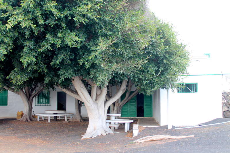 Imagen 1 de Venta Casa – Ye, Haría, Las Palmas, Lanzarote