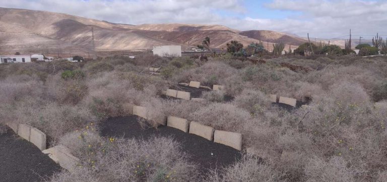 Image 2 of For Sale Plot – Mala, Haría, Las Palmas, Lanzarote