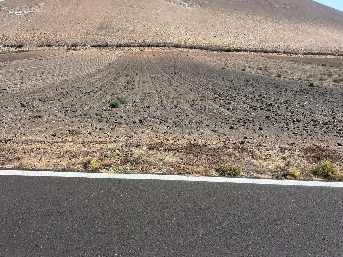 Image 1 of For Sale Rural/Agricultural land – San Bartolomé, San Bartolomé, Las Palmas, Lanzarote