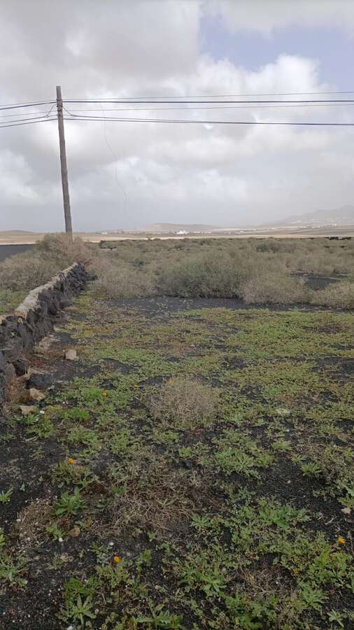 Imagen 1 de Venta Terreno rústico/agrícola – La Vegueta, Tinajo, Las Palmas, Lanzarote