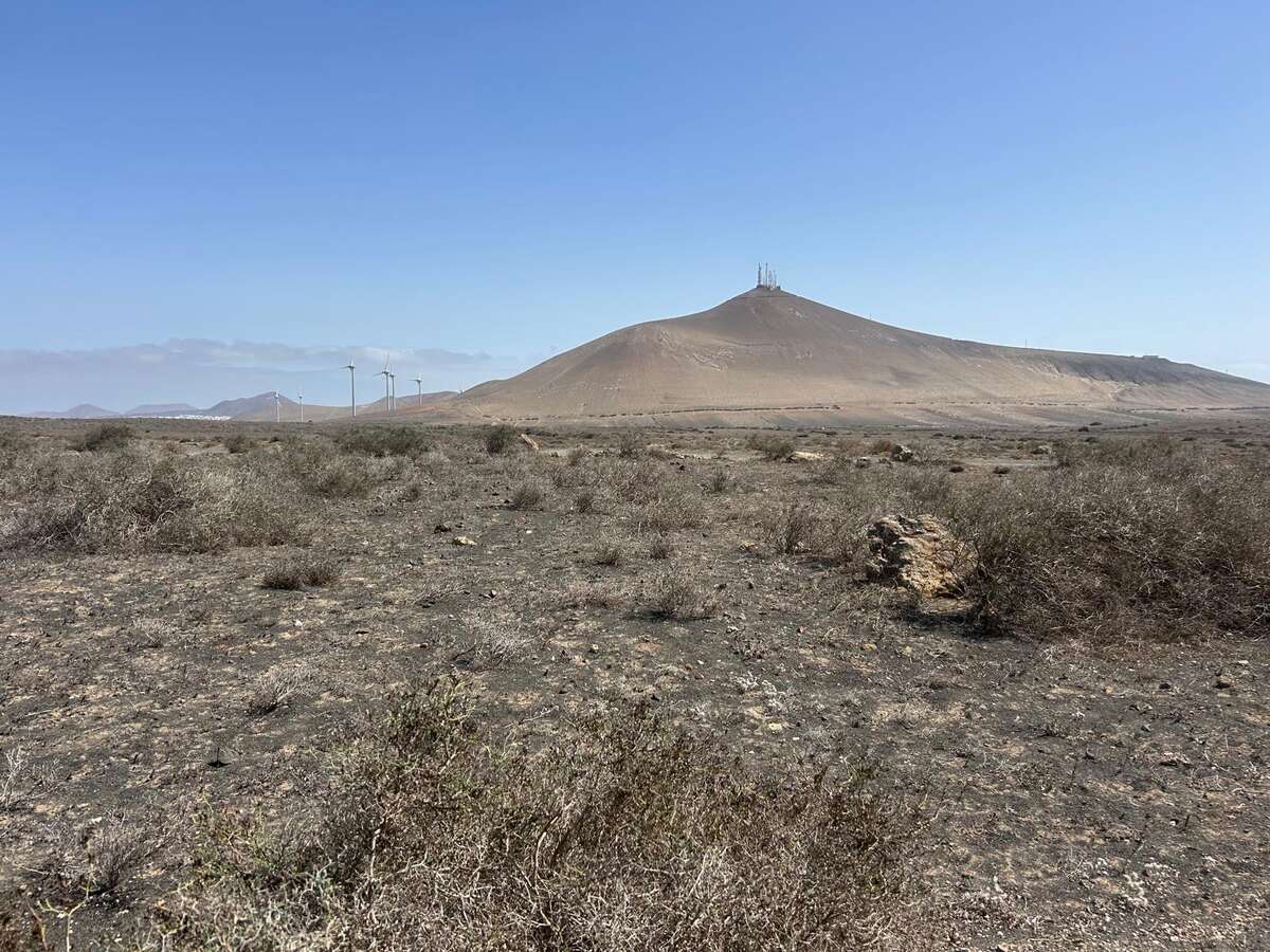 Image 1 of For Sale Rural/Agricultural land – San Bartolomé, San Bartolomé, Las Palmas, Lanzarote