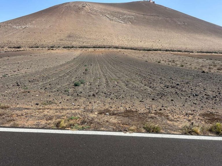 Imagen 2 de Venta Terreno rústico/agrícola – San Bartolomé, San Bartolomé, Las Palmas, Lanzarote