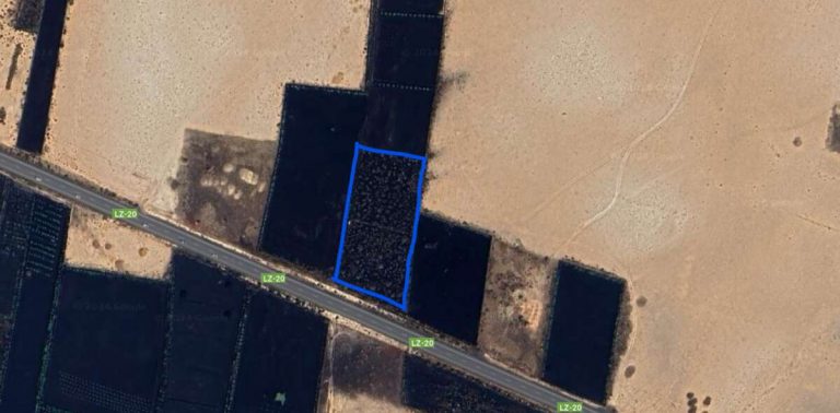Imagen 2 de Venta Terreno rústico/agrícola – La Vegueta, Tinajo, Las Palmas, Lanzarote
