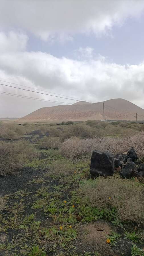 Imagen 3 de Venta Terreno rústico/agrícola – La Vegueta, Tinajo, Las Palmas, Lanzarote