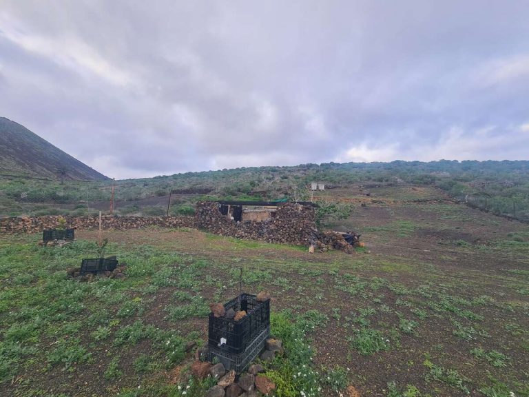 Image 3 of For Sale Plot/Land – Orzola, Haría, Las Palmas, Lanzarote