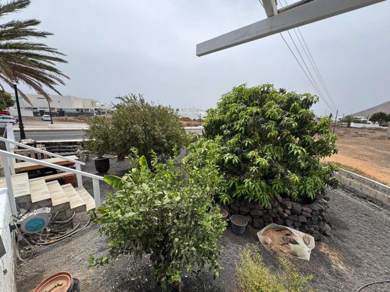Jardín — Venta Casa – Tahiche, Teguise, Las Palmas, Lanzarote